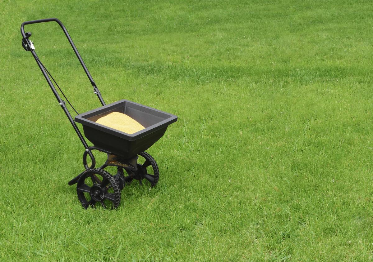 Fertilizing your lawn in the summer