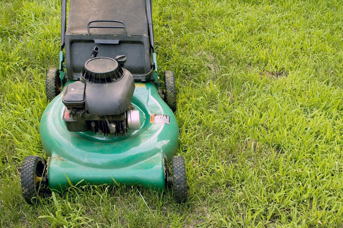 Summer lawn mowing tips
