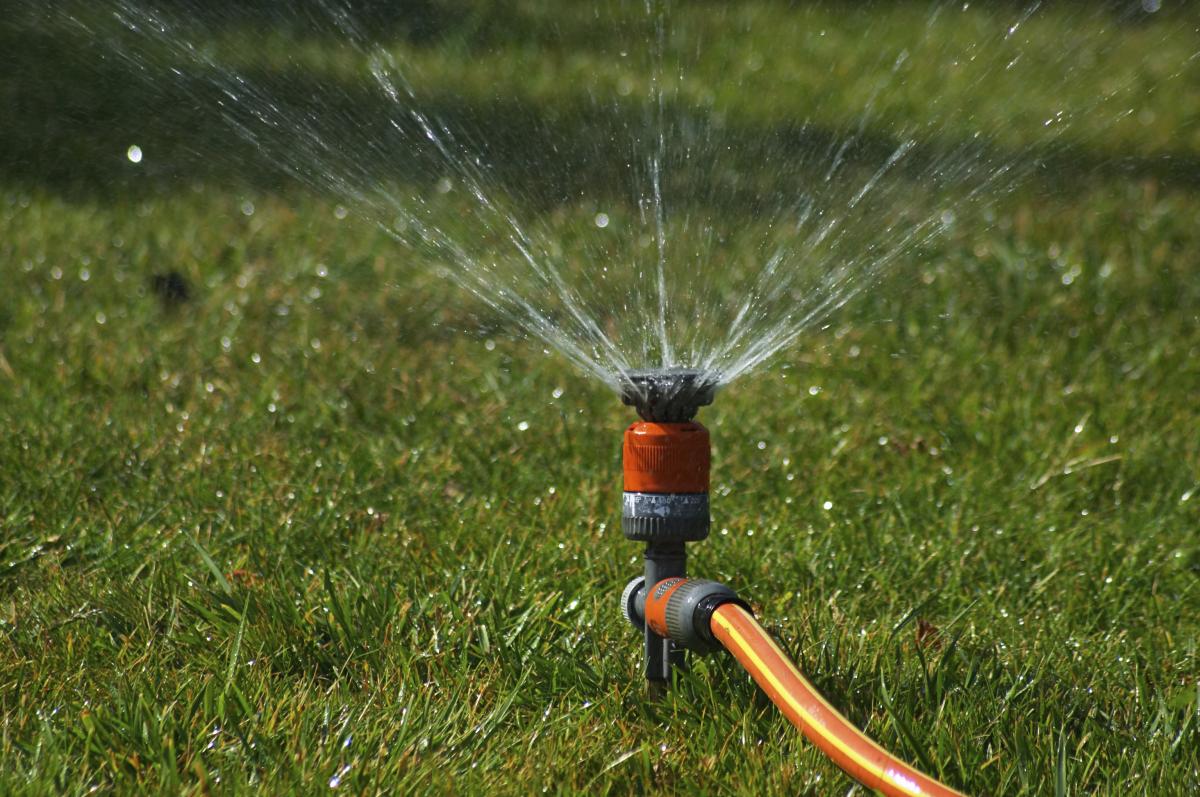Summer lawn watering tips